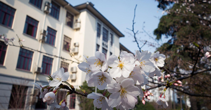 北京联合大学师范学院